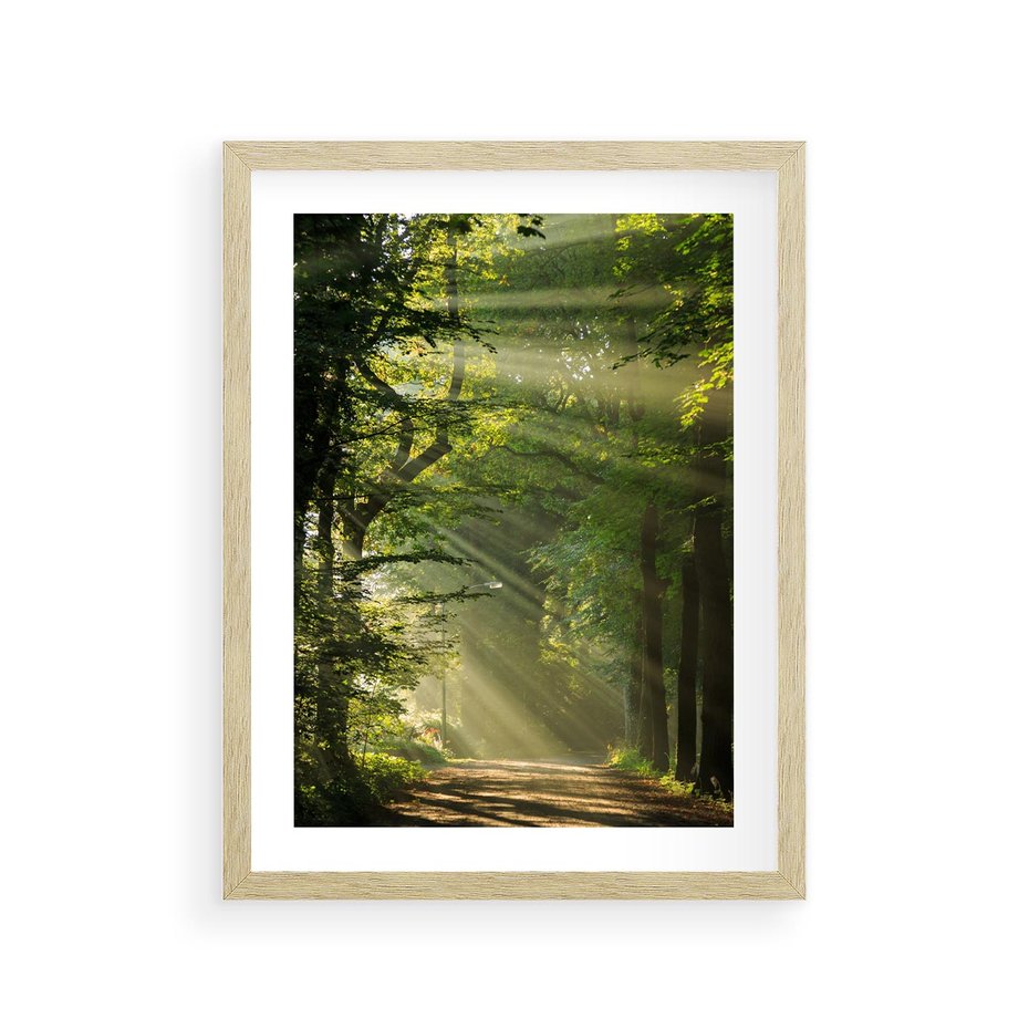 Plakat w ramie 30x40 - harmonia natury - las, drzewa - rama drewno