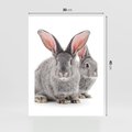 Plakat bez ramy 30x40 - Uroczy królik wśród natury - królik, zając