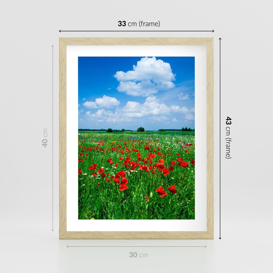 Plakat w ramie 30x40 - Kolorowa łąka pełna maku - łąka, maki - rama drewno