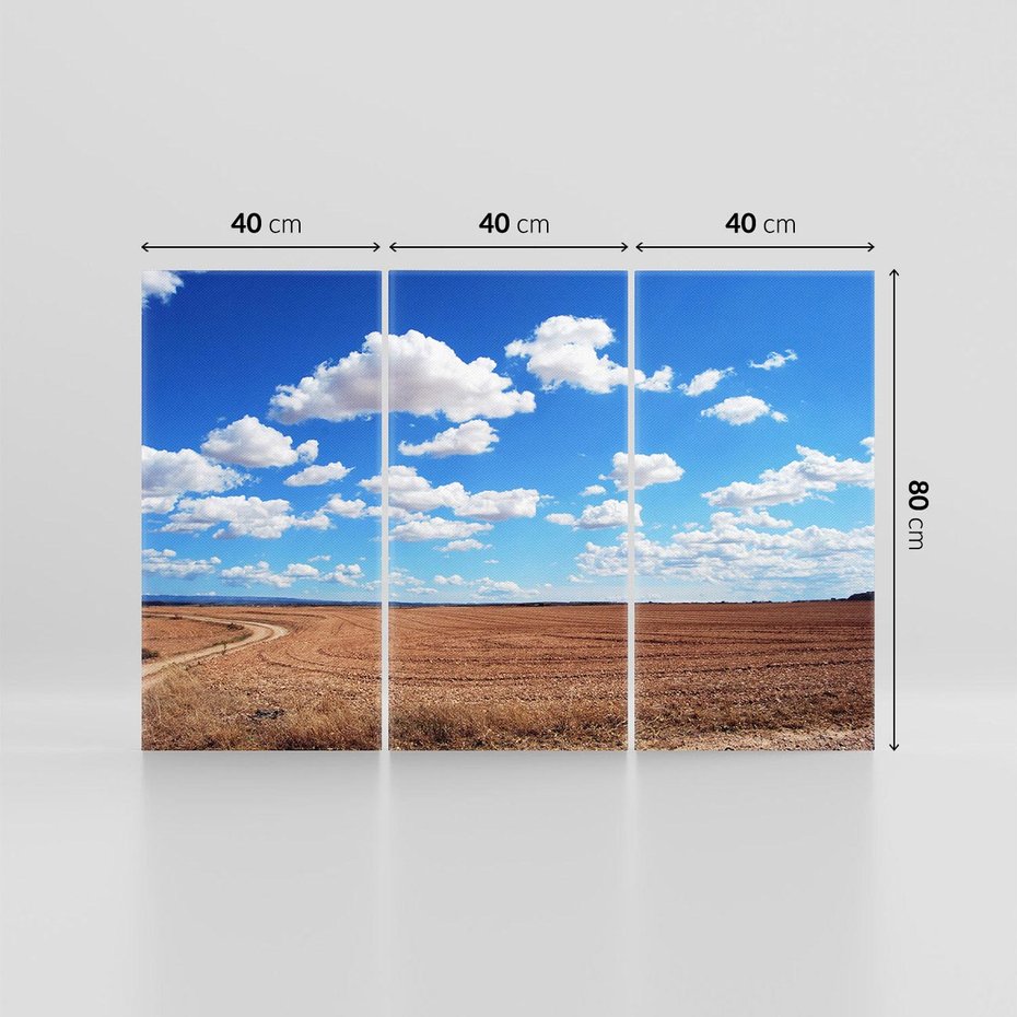 Obraz na płótnie 120x80 - Łąka - Niebo i chmury - łąka, niebo