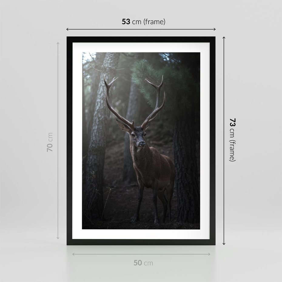 Plakat w ramie 50x70 - Jeleń wśród lasu - jeleń, las - rama czarna