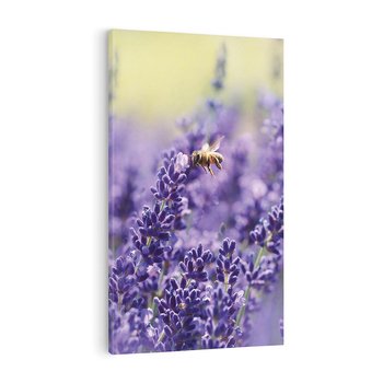 Obraz na płótnie 70x100 - Magia lawendy delikatne kwiaty - lawenda, kwiat