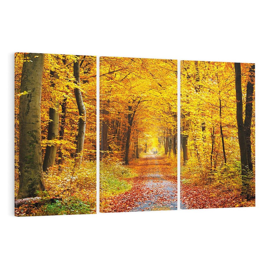 Obraz na płótnie 120x80 - Jesień w lesie - las, drzewa