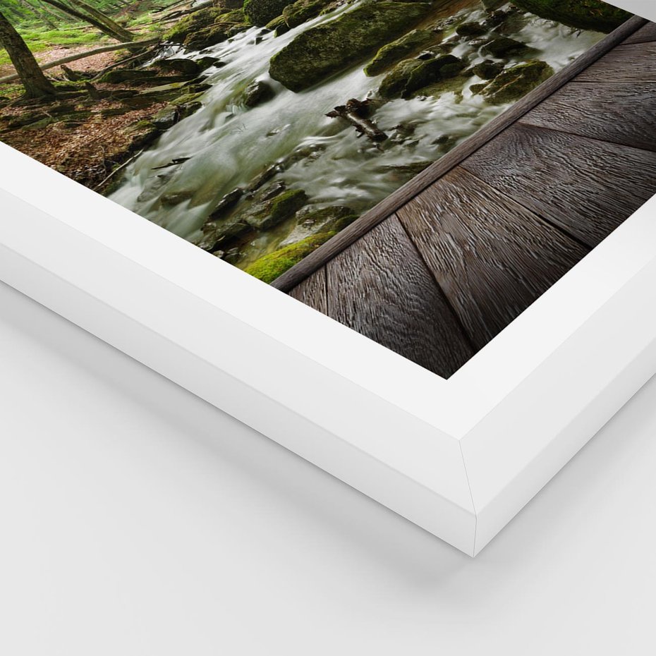 Plakat w ramie 50x70 - Strumyk w lesie - strumyk, w lesie - rama biała