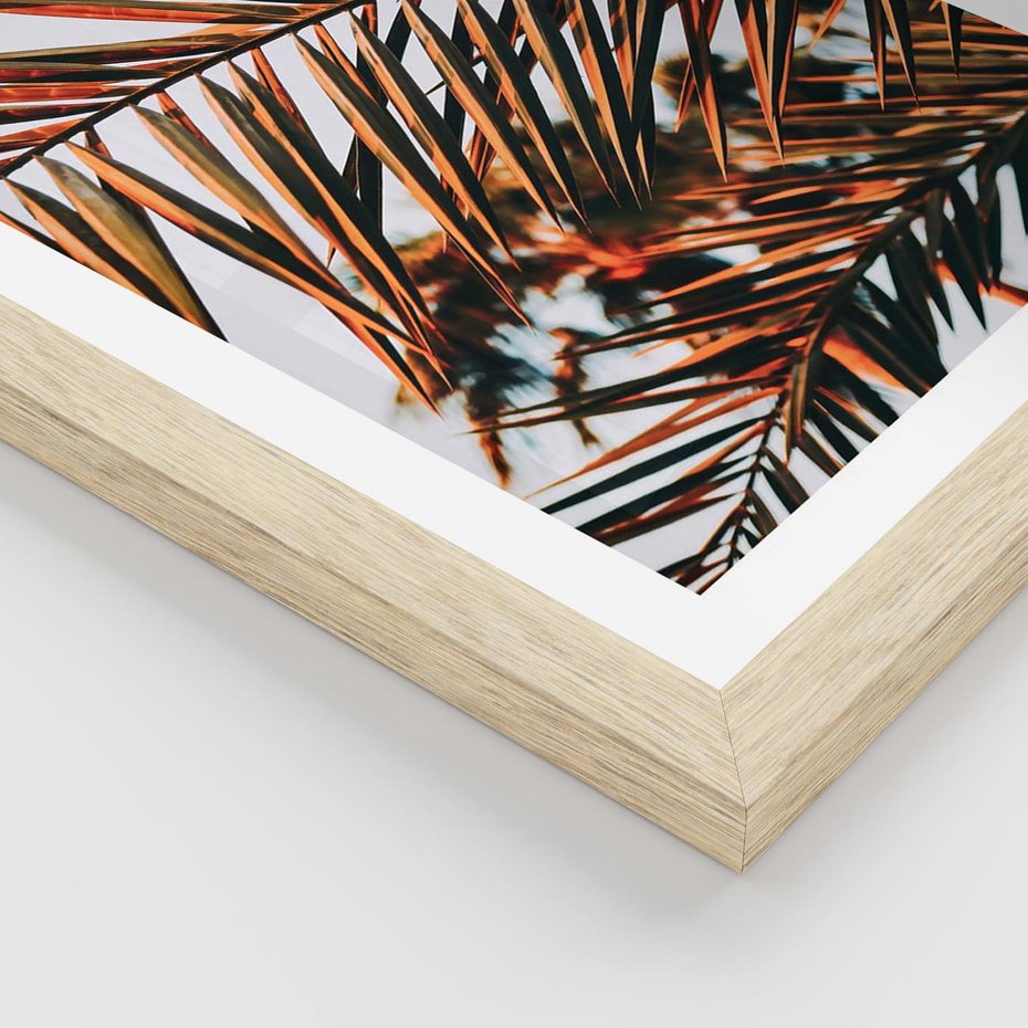 Plakat w ramie 50x70 - Tropikalna Harmonia - palma, liście palmy - rama drewno