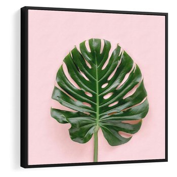 Obraz w ramie 50x50 - Egzotyczna Roślinność - liście, monstera - rama czarna