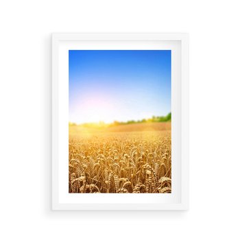 Plakat w ramie 40x50 - Żyzne Pola - pole, pszenicy - rama biała