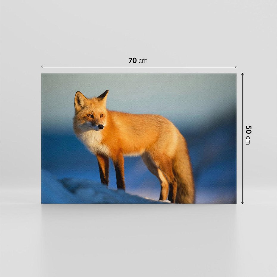 Obraz na płótnie 70x50 - Lisek w lesie - lis, lisek