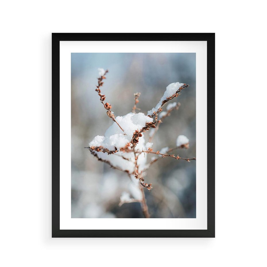 Plakat w ramie 40x50 - Zimowy Urok Natury - gałązki pod śniegiem, natura - rama czarna