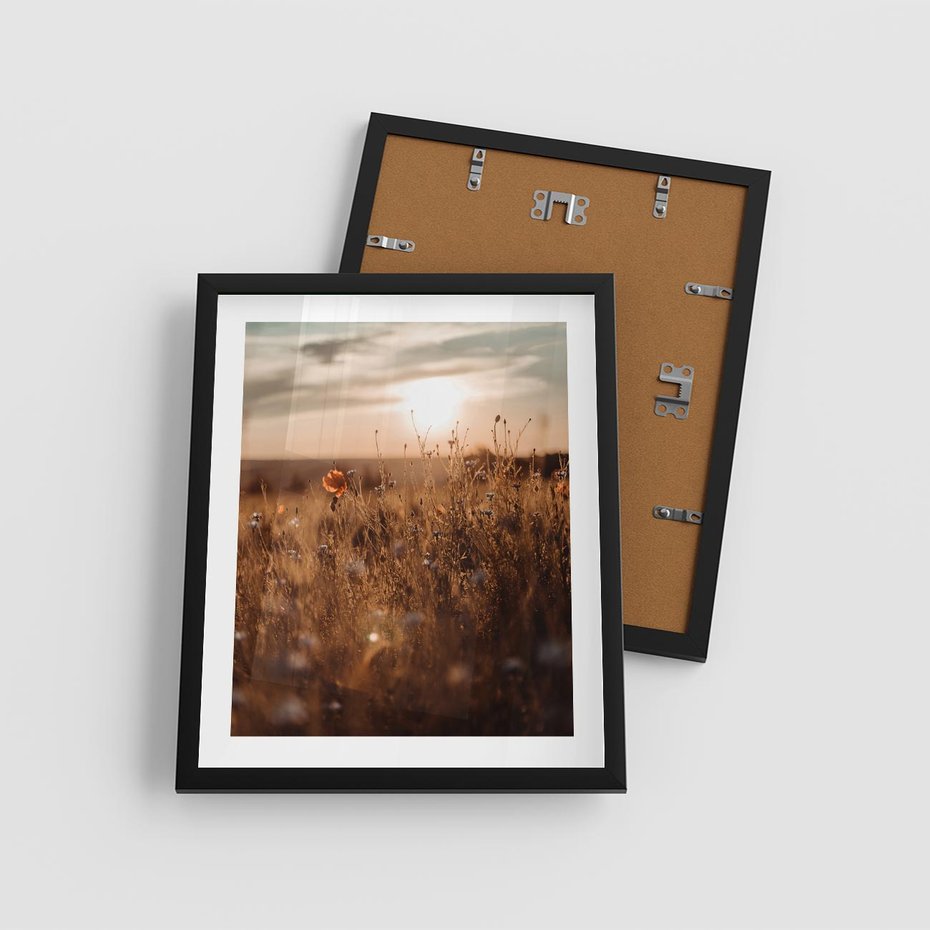 Plakat w ramie 40x50 - Zachwyt zachodem słońca na łące - zachód, słońca - rama czarna