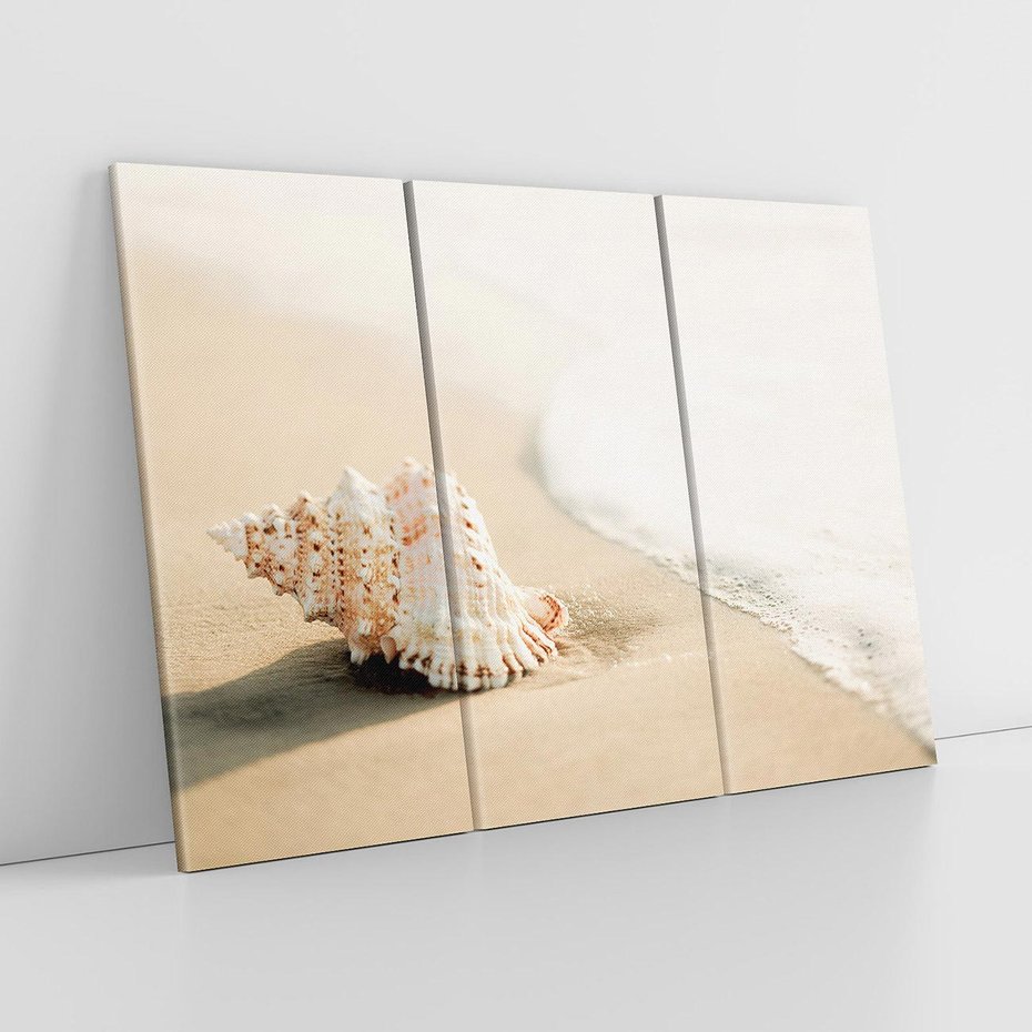 Obraz na płótnie 120x80 - Urok plażowej muszelki - fotografia, muszla na plaży