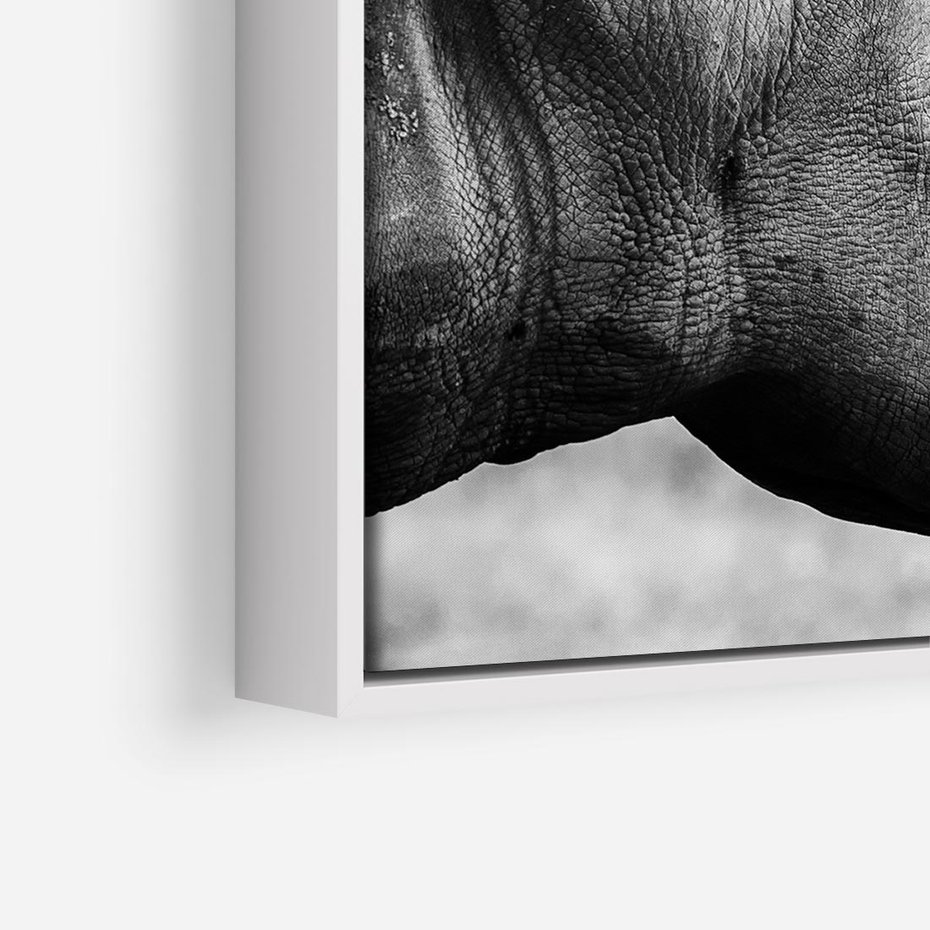 Obraz w ramie 50x50 - Potęga Afryki - czarno biała fotografia, zbliżenie na postać nosorożca - rama biała