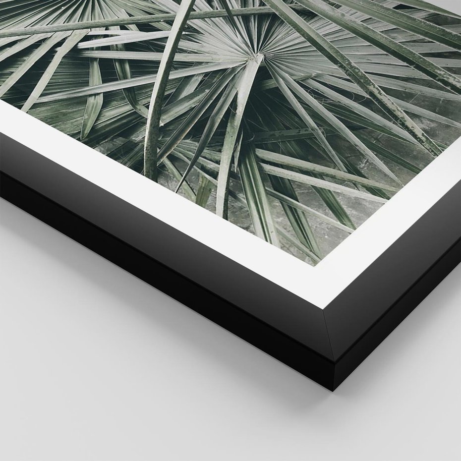 Plakat w ramie 30x40 - Palmy w Zgaszonej Zieleni - palmy, tropikalne liście - rama czarna