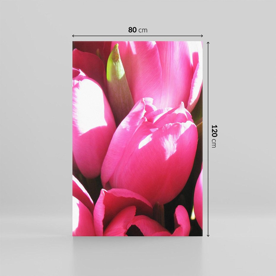 Obraz na płótnie 80x120 - Tulipany w pejzażu - tulipany, kwiaty