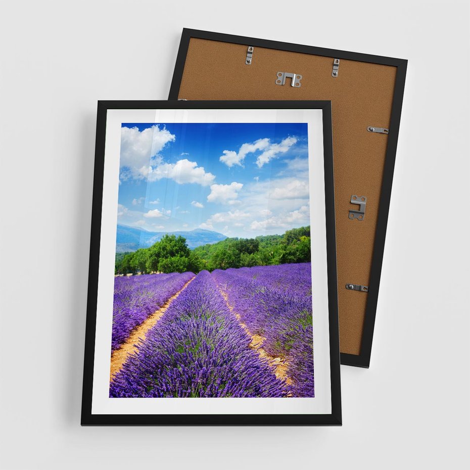 Plakat w ramie 50x70 - Prowansalska Lawenda - lawenda, prowansja - rama czarna