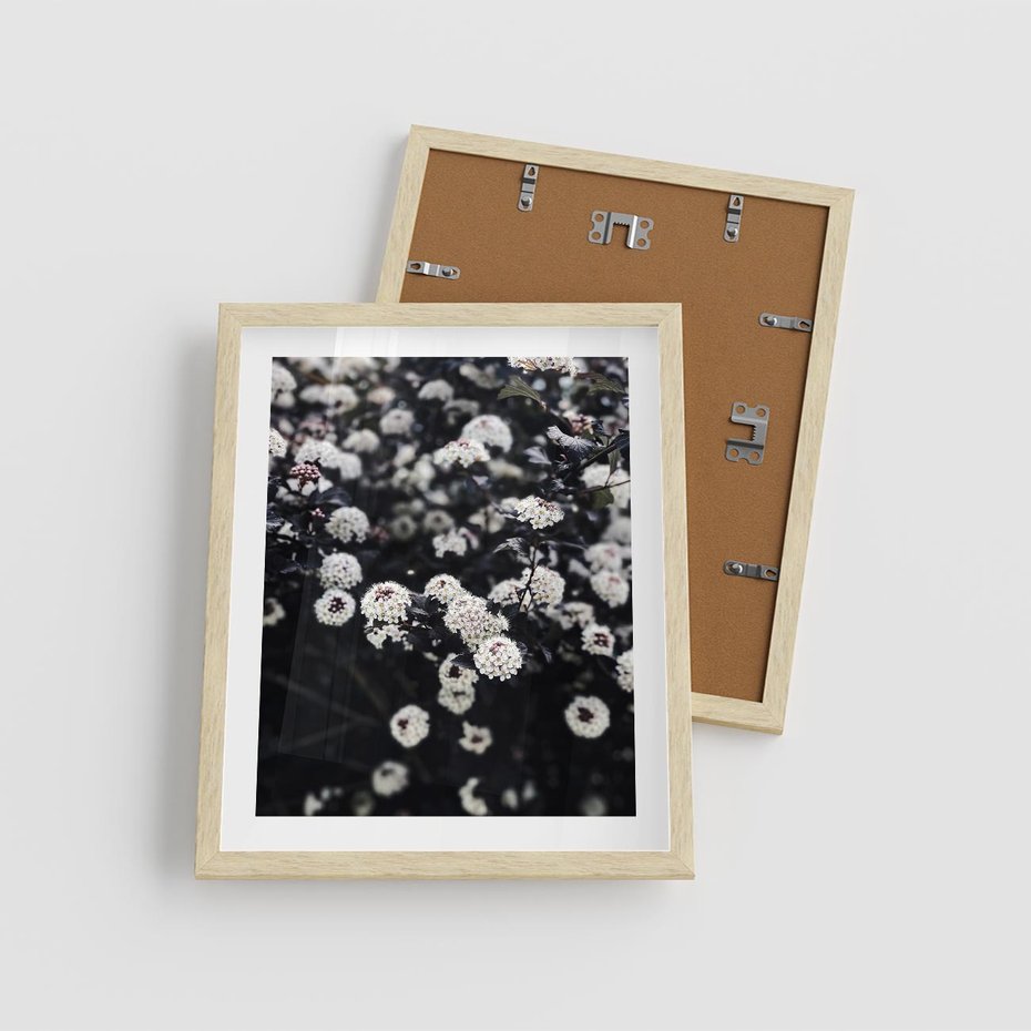 Plakat w ramie 40x50 - Białe Kwiaty na Kwitnącym Krzewie - białe kwiaty, kwitnący krzew - rama drewno