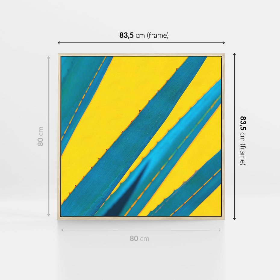 Obraz w ramie 80x80 - Świeżość Natury - aloes, liście - rama drewno