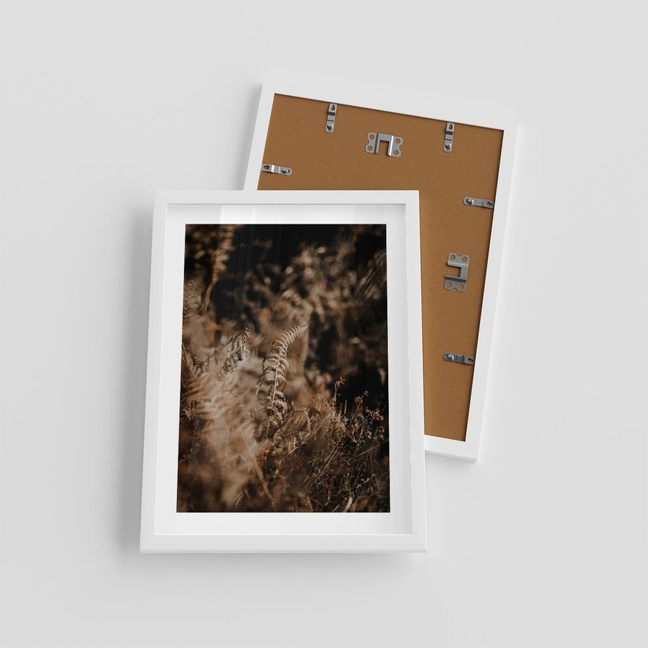 Plakat w ramie 30x40 - Delikatne Detale - paprocie, brąz - rama biała