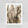 Plakat bez ramy 40x50 - Retro Pole Kukurydzy - retro zdjęcie, sepia