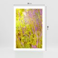 Plakat bez ramy 21x30 - Delikatność natury - lawenda, kwiaty