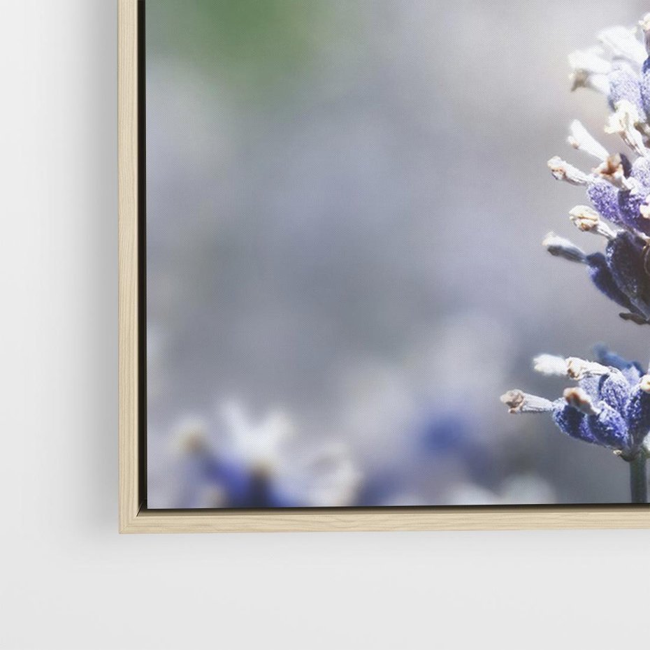 Obraz w ramie 100x70 - Delikatna Uroda Natury - wrzosy, fiolet - rama drewno