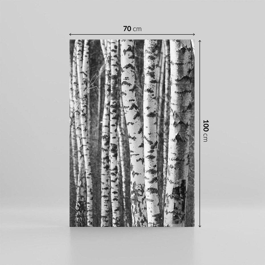 Obraz na płótnie 70x100 - Kontrast Monochromatyczny - brzozy, czarno