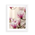 Plakat w ramie 40x50 - Urok Magnolii - magnolie, kwiaty - rama biała
