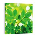 Obraz na płótnie 70x70 - Magia liści - liście, drzewo