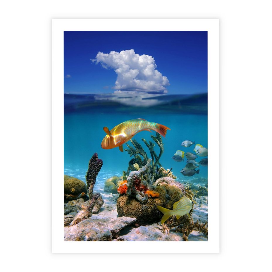 Plakat bez ramy 30x40 - Podwodna rafa koralowa: kolorowy oceanowy świat - rafa, koralowa