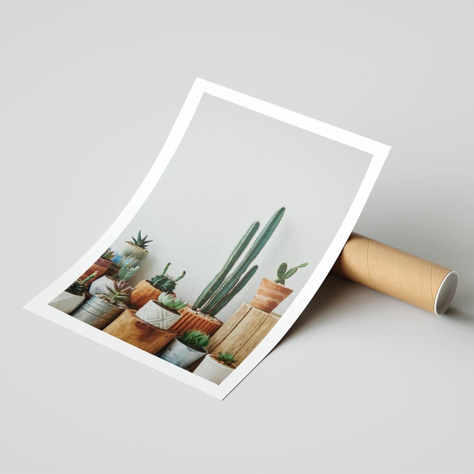 Plakat bez ramy 40x50 - Naturalna Harmonia - kaktusy, liście