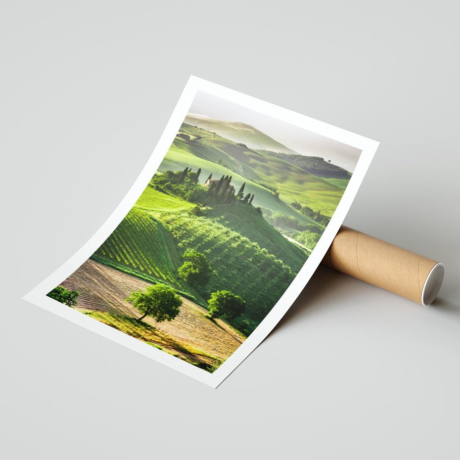 Plakat bez ramy 40x50 - Prowansja: malownicze winnice w kraju Włoch - Prowansja, Włochy