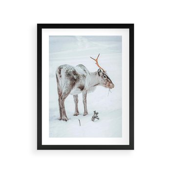 Plakat w ramie 50x70 - Magia Świąt - renifer na śniegu, śnieg - rama czarna