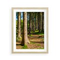 Plakat w ramie 40x50 - Las: harmonia natury - las, drzewa - rama drewno