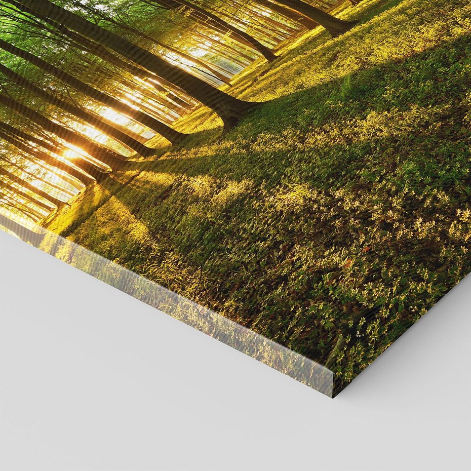 Obraz na płótnie 70x70 - Mistyfikujący urok leśnej głuszy - las, drzewa