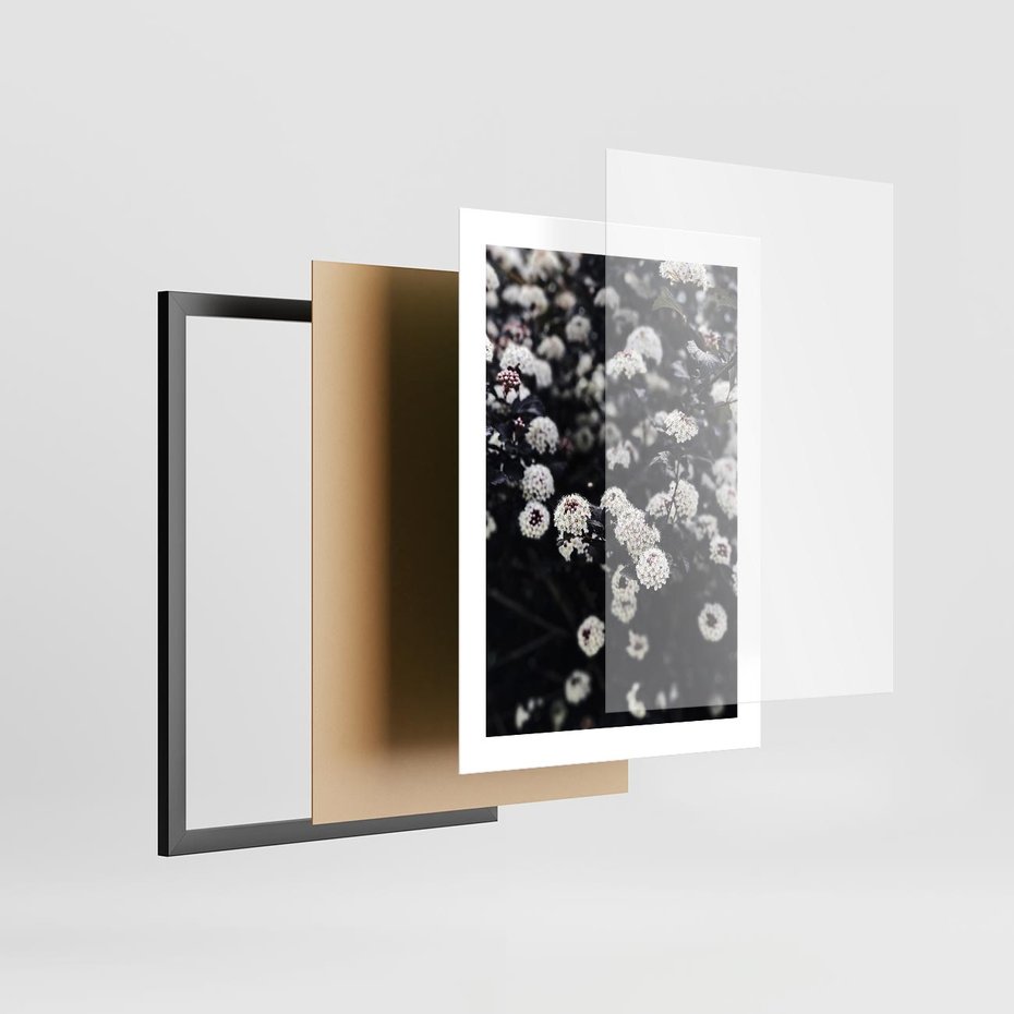 Plakat w ramie 30x40 - Białe Kwiaty na Kwitnącym Krzewie - białe kwiaty, kwitnący krzew - rama czarna