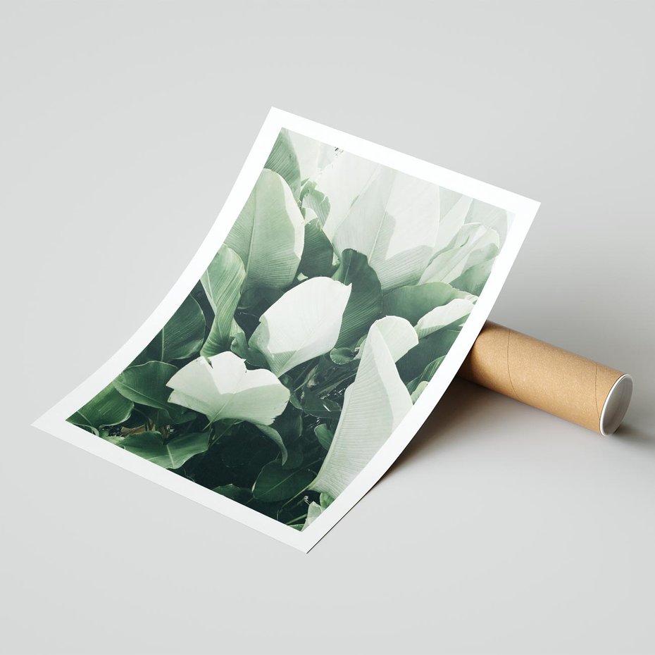 Plakat bez ramy 21x30 - Zgaszona Uroda Natury - zielone liście, zgaszona zieleń