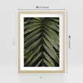 Plakat w ramie 30x40 - W Liściach Ukryte - zdjęcie, fotografia - rama drewno