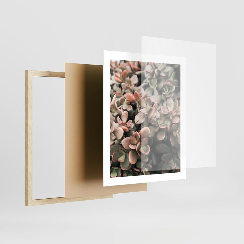 Plakat w ramie 40x50 - Sukulentowa Prostota - sukulenty, zielone liście - rama drewno
