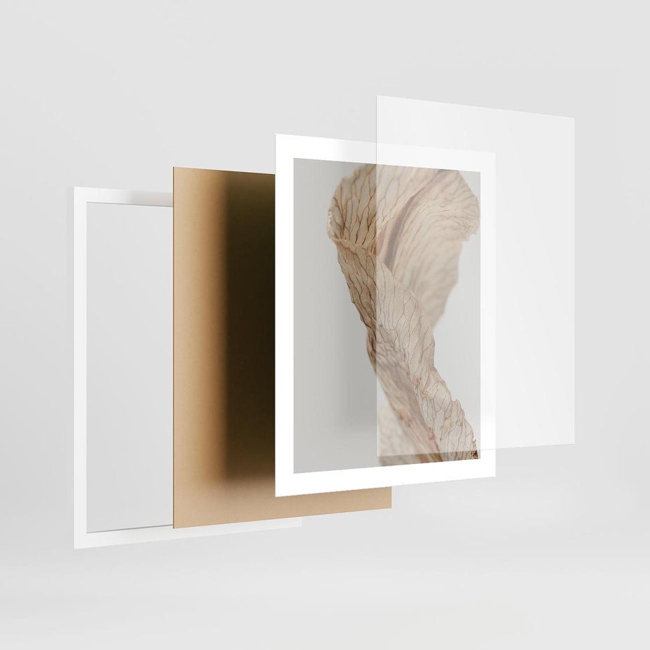 Plakat w ramie 40x50 - Suszone piękno - susz, suche - rama biała