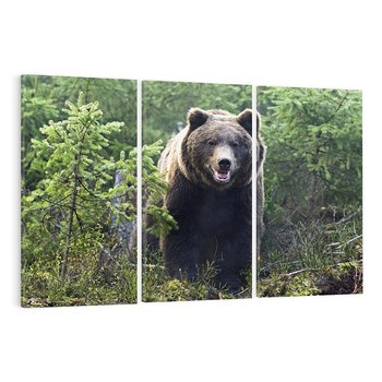 Obraz na płótnie 120x80 - Spotkanie z Niedźwiedziem w Lesie - niedźwiedź, las