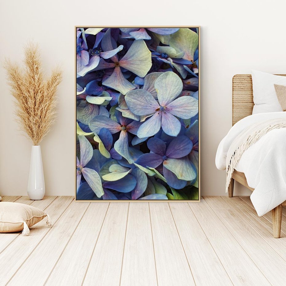 Obraz w ramie 50x70 - Hortensja - delikatność kwiatów - hortensja, kwiaty - rama drewno