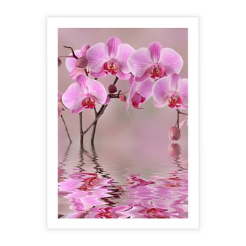 Plakat bez ramy 30x40 - Relaksacyjne spa w otoczeniu storczyka - spa, storczyk