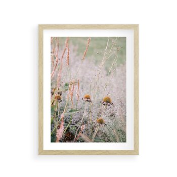 Plakat w ramie 50x70 - Przyroda w Pełnym Blasku: Kolorowa łąka z Kwiatami - łąka, kwiaty na łące - rama drewno