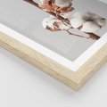 Plakat w ramie 50x70 - Spokojna Gałązka Bawełny - gałązka bawełny, prosta spokojna fotografia - rama drewno