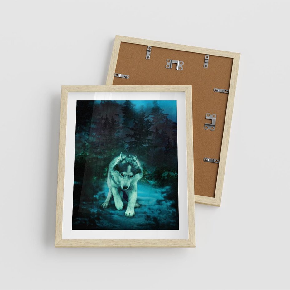 Plakat w ramie 40x50 - Siła i wdzięk natury - wilk, husky - rama drewno