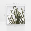 Obraz w ramie 50x50 - Ekskluzywna Roślinność - kaktusy, liście - rama biała