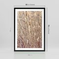 Plakat w ramie 50x70 - Suche Trawy w Wyjątkowym Stylu - suche trawy, boho styl - rama czarna