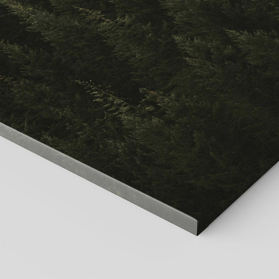 Obraz na płótnie 50x70 - Ciemny las iglasty - las, iglasty