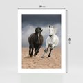 Plakat bez ramy 30x40 - Siła koni w galopie - konie, galop