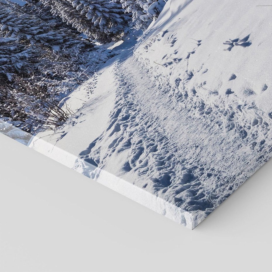 Obraz na płótnie 80x120 - Zimowe góry w lesie - góry, zima